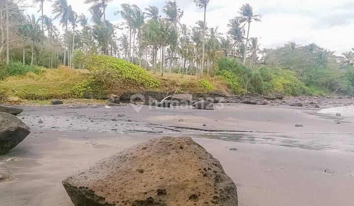 TANAH BEACH FRONT SOKA TABANAN DEKAT CANGGU 2