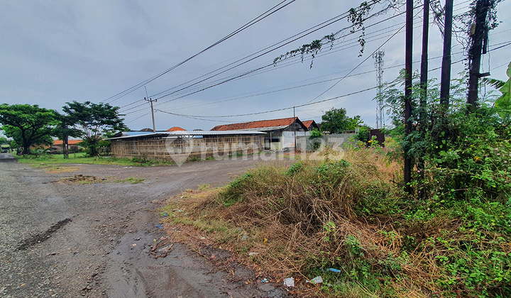 Tanah Murah 1 Juta / m2 Area Pangenan Cirebon Tanah Murah 1 Juta / m2 Area Pangenan Cirebon