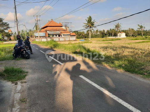 Tanah Dengan Pemandangan Sawah di Kemenuh ubud,bali