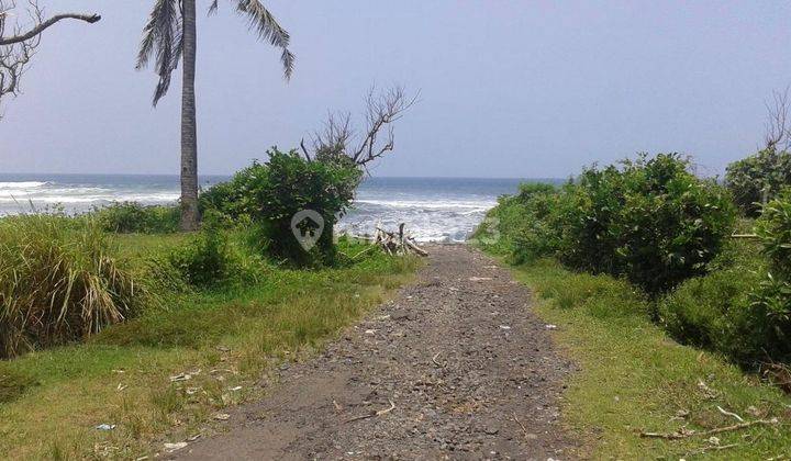 TANAH LOS PANTAI BERABAN DAN SUNGAI DI TABANAN 1