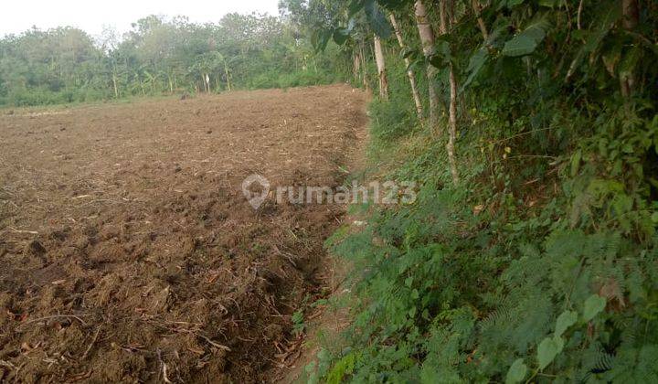 Tanah Maribaya Tegal dekat pantai zona kuning 1