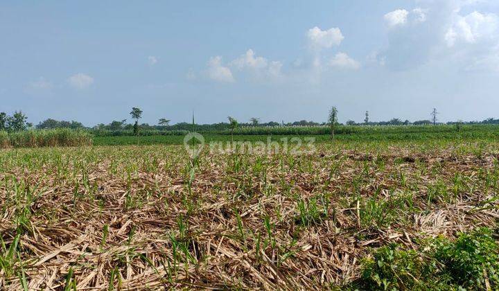 ZONA MERAH UNTUK KAWASAN INDUSTRI DI PURWODADI GROBOGAN  1