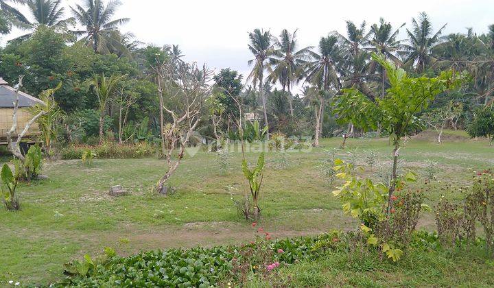 Land ready to build. View of eternal rice fields in Ubud 2