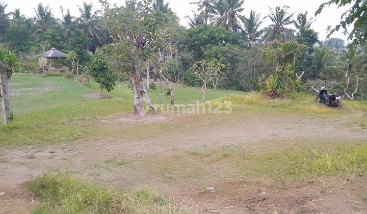 Land ready to build. View of eternal rice fields in Ubud 1