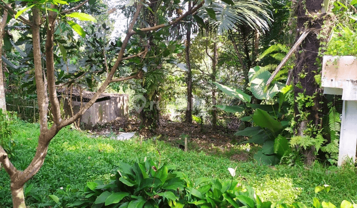 House bonus land in paku dui ubud north 1