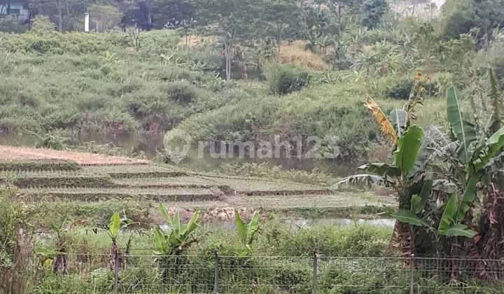Tanah Kota Baru Parahyangan Cluster Pitaloka View menhdap Danau dan jembatan sangat cantik , Asri pemandangannya dan Hawa yg sejuk Tanah Kota Baru Parahyangan Cluster Pitaloka View menhdap Danau dan jembatan sangat cantik , Asri pemandangannya dan Hawa yg sejuk