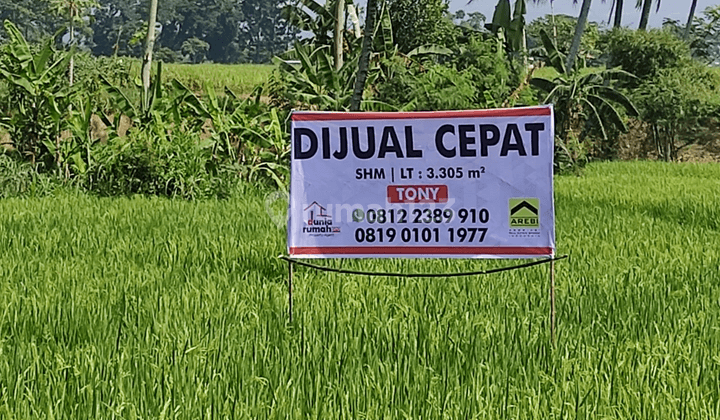 MURAH! CEPAT! NEGO SAMPAI JADI! Tanah Sawah 3rb Meter Lokasi Strategis Warungkondang - Cianjur 1