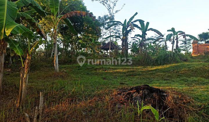 Tanah murah Jembrana Bali dalma kota 2