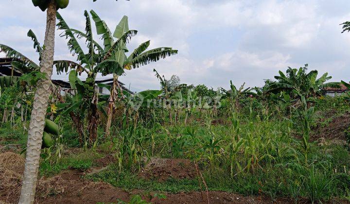 Tanah matang sayap Katapang, akses jalan lebar, masuk 2 mobil, bs utk perumahan 1