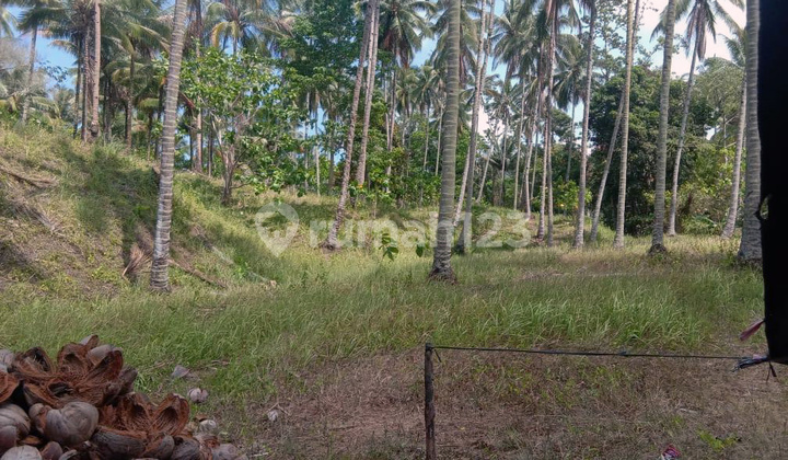 Bitung Sulawesi Utara