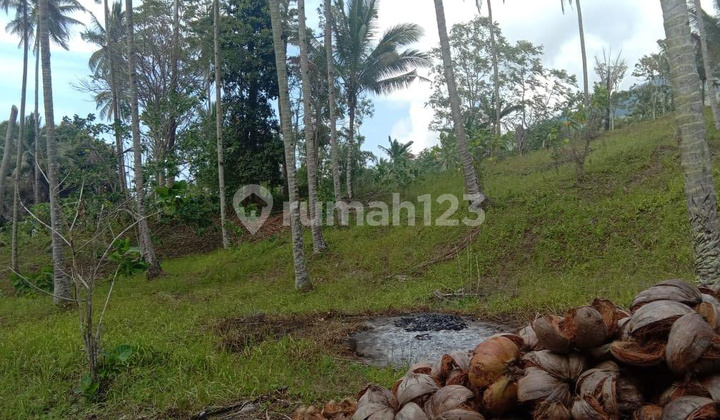 Bitung Sulawesi Utara