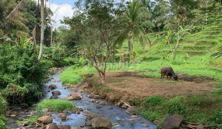 ACTIVE RICE GARDEN LAND FULL VIEW VALLEY AND RIVER IN PENEBEL TABANAN 2