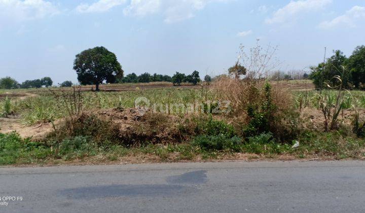 ZONA MERAH UNTUK KAWASAN INDUSTRI DIJUAL MURAH DI REMBANGN JAWA TENGAH  1