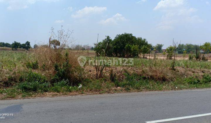 ZONA MERAH UNTUK KAWASAN INDUSTRI DIJUAL MURAH DI REMBANGN JAWA TENGAH  2