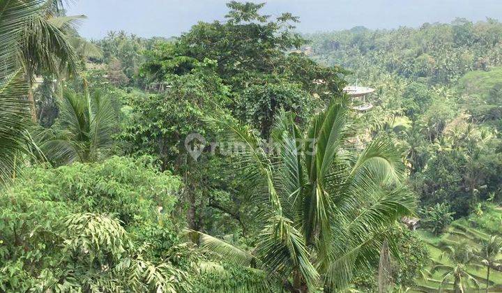 LANGKA! TANAH PREMIUM FULL VIEW LOSS LEMBAH &amp; SUNGAI AYUNG DI SAYAN UBUD 2