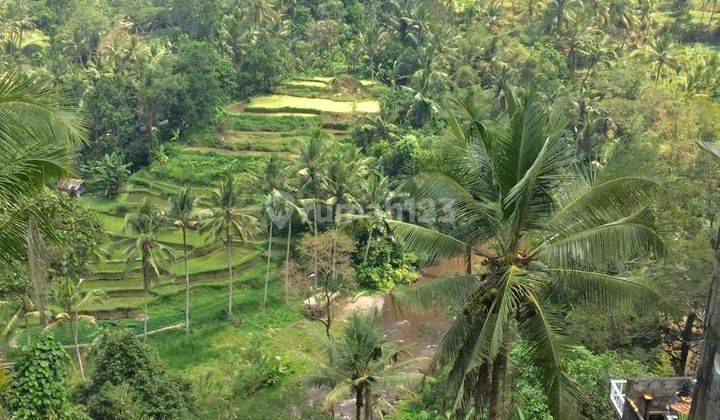 LANGKA! TANAH PREMIUM FULL VIEW LOSS LEMBAH &amp; SUNGAI AYUNG DI SAYAN UBUD 1