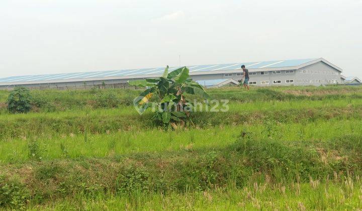 ZONA MERAH BUAT KAWASAN INDUSTRI DI PURWODADI GROBOGAN JAWA TENGAH 2