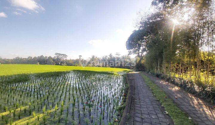 TANAH ISTIMEWA VIEW SAWAH DAN LEMBAH DI KELIKI UBUD 2