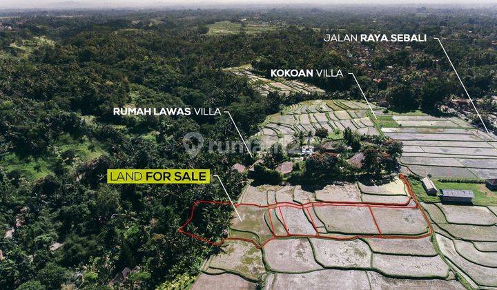 TANAH ISTIMEWA VIEW SAWAH DAN LEMBAH DI KELIKI UBUD 1