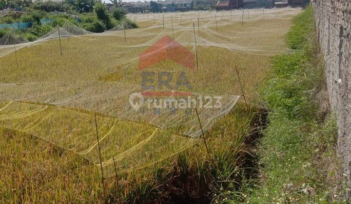 Tanah Bentuk Sawah sayap Soekarno Hatta Bandung lokasi sangat strategis 2