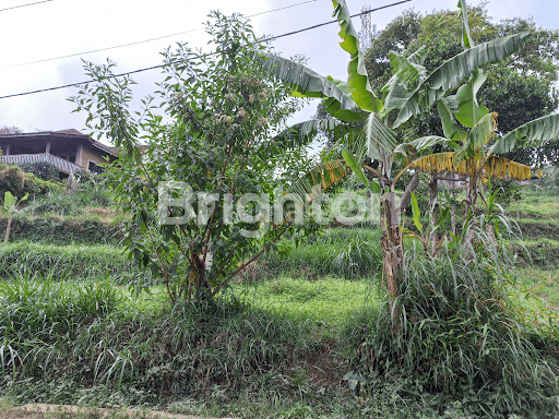 Tanah Kavling Cimenyan untuk Cafe dan Guest House 2