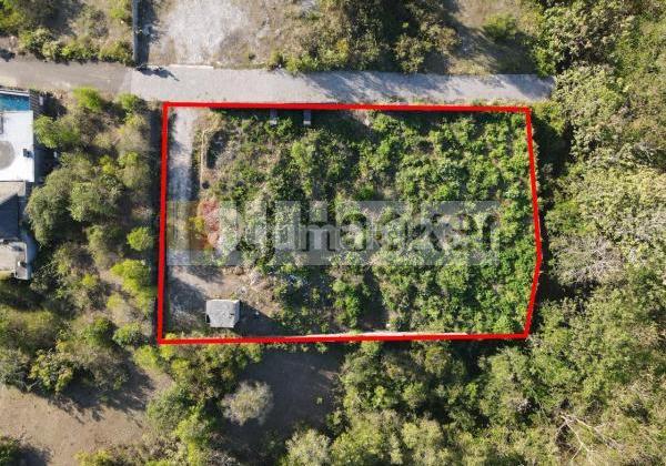 Ocean View Land and CHEAP