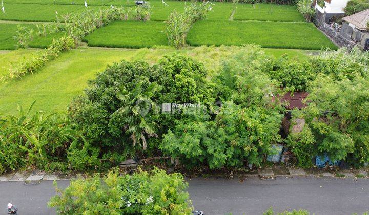 BISNIS TERBAIK!!TANAH LANGKA DI SEMINYAK JARANG ADA DEKAT PANTAI SEMINYAK JALAN KAKI 300METER 2