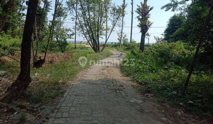 Tanah Pinggir Pantai Paniis Taman Nasional Ujung Kulon 2