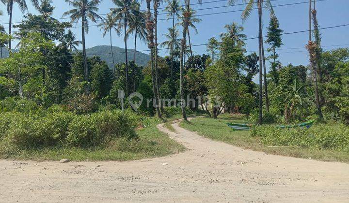 Tanah Pinggir Pantai Paniis Taman Nasional Ujung Kulon 1