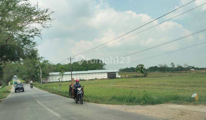 DIJUAL ZONA MERAH BUAT KAWASAN INDUSTRI DI PURWODADI GROBOGAN 1