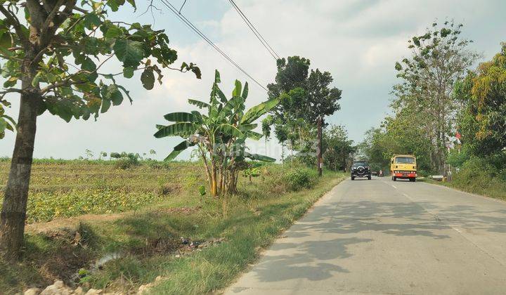 Dijual Zona merah di Purwodadi Grobogan 1