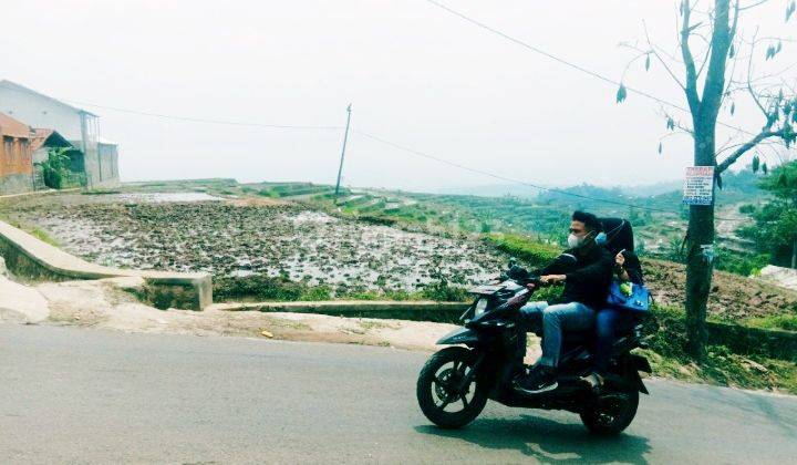 Tnh Bagus Utk Villa,Cluster di Majalaya Bandung 1