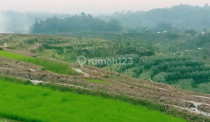 Tnh Bagus Utk Villa,Cluster di Majalaya Bandung 2