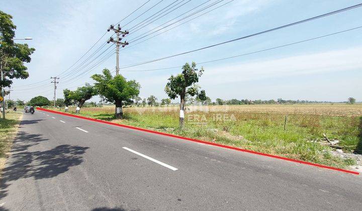 Tanah Murah Strategis di Jl. Raya Baki - Manang Sukoharjo 1