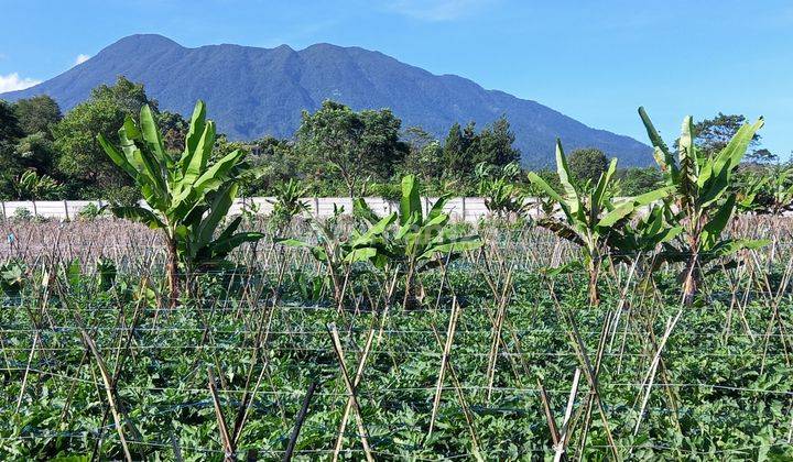 Tanah Dekat Jalan Raya Puncak Bogor Shm Nego 2