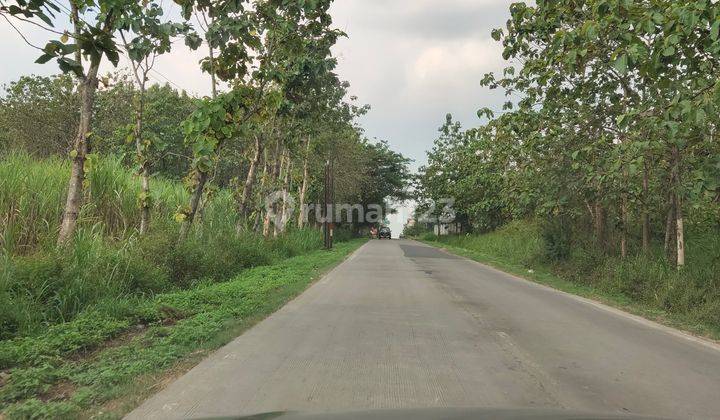 Jual Lahan Untuk Industri di Purwodadi Grobogan Jawa tengah 1