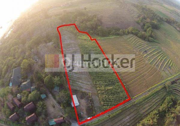 Cheap and Rare Land on Jl. Tegal Mengkeb, Tabanan Near Kelecung Beach 1