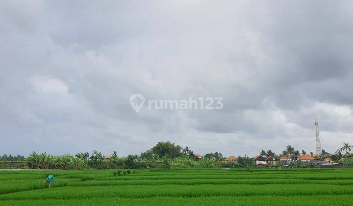 LANGKA! TANAH LOT PANTAI NYANYI FULL VIEW SAWAH 360 DERAJAT 1