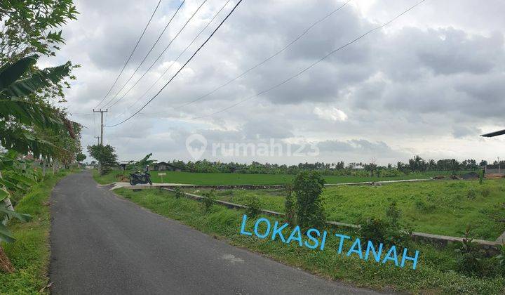 LANGKA! TANAH HOOK PERERENAN CANGGU FULL VIEW SAWAH ABADI 2