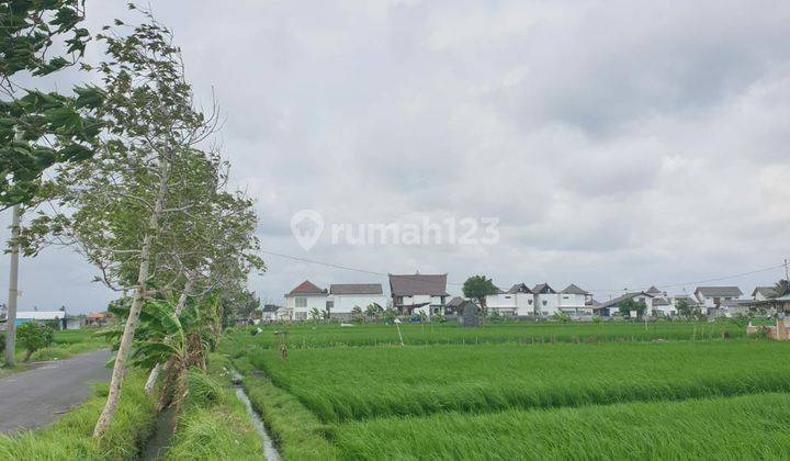 LANGKA! TANAH HOOK PERERENAN CANGGU FULL VIEW SAWAH ABADI 1