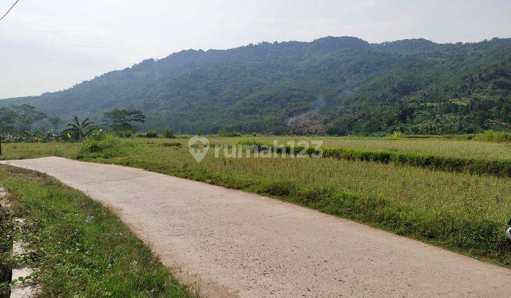 JUAL CEPAT SAWAH PINGGIR JALAN STRATEGIS DEKAT BANYAK LOKASI WISATA 2