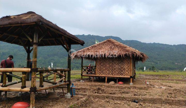 JUAL CEPAT SAWAH PINGGIR JALAN STRATEGIS DEKAT BANYAK LOKASI WISATA 1