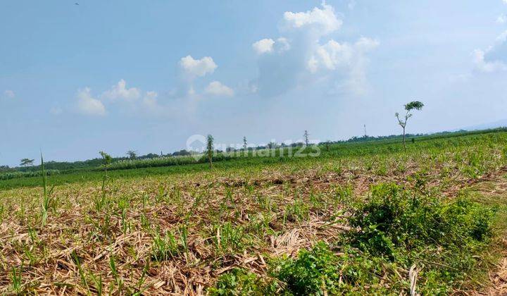 Jual Lahan Industri Purwodadi Grobogan  2