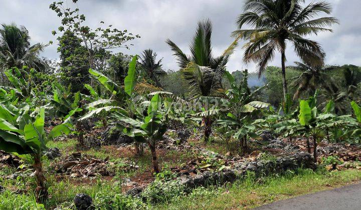 Tanah potensial dekat pantai Gesing 1