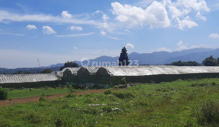 Tanah Murah Siap Bangun Megemandung Puncak Bogor Shm Nego  2