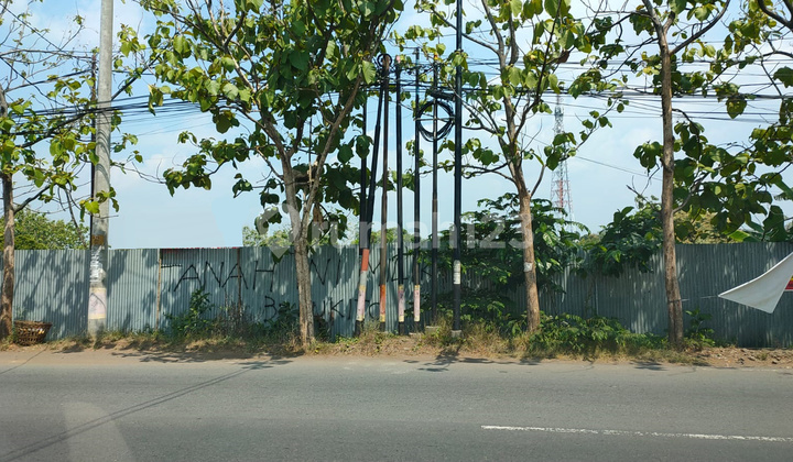 Tanah Dijual/Disewakan : Jl Imam Suparto,Tembalang, Semarang 1