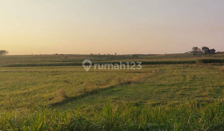 ZONA merah di Purwodadi Grobogan Jawa tengah 2