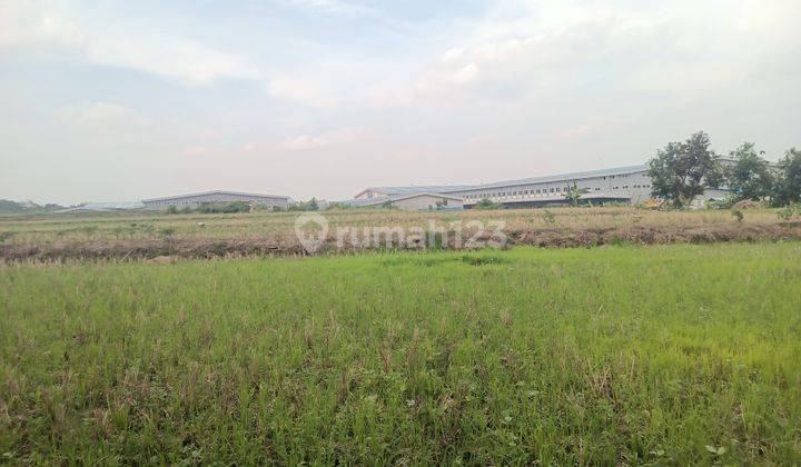 Jual Zona Industri di Purwodadi Grobogan Jawa tengah 2