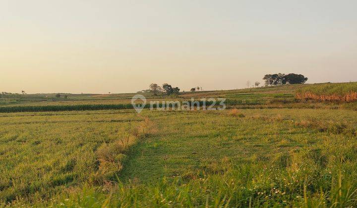 ona industri siap bangun di Purwodadi Grobogan Jawa tengah 1