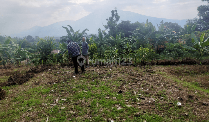 tanah murah rata nempel jalan view lepas ke gunung dicimande 1